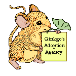 Ginko's